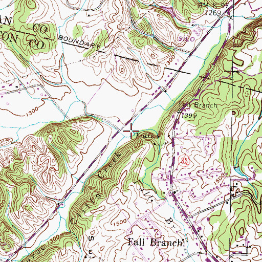 Topographic Map of Fall Branch, TN