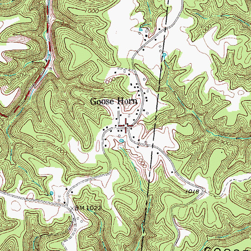 Topographic Map of Goose Horn, TN
