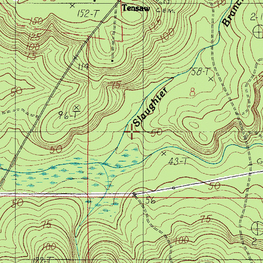 Topographic Map of Slaughter Branch, AL