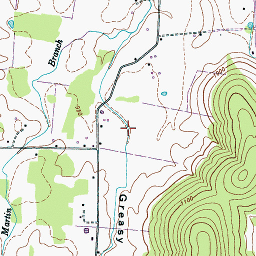 Topographic Map of Greasy Cove, TN