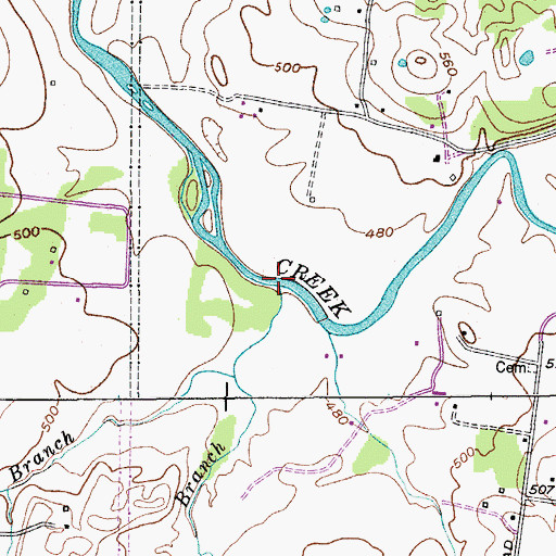 Topographic Map of Horn Springs Branch, TN