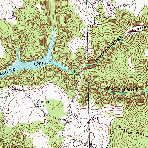 Topographic Map of Horsetrough Hollow, TN