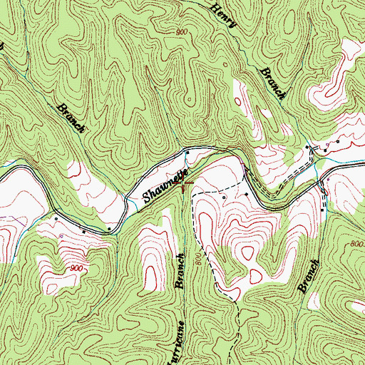 Topographic Map of Hurricane Branch, TN