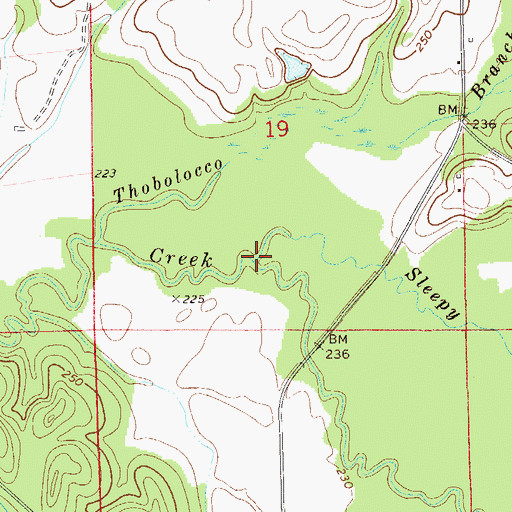 Topographic Map of Sleepy Creek, AL