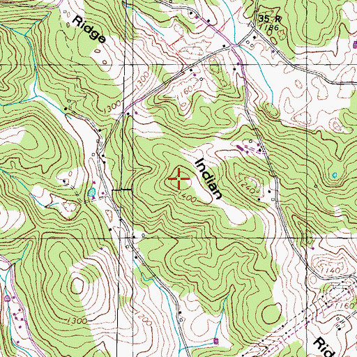 Topographic Map of Indian Ridge, TN