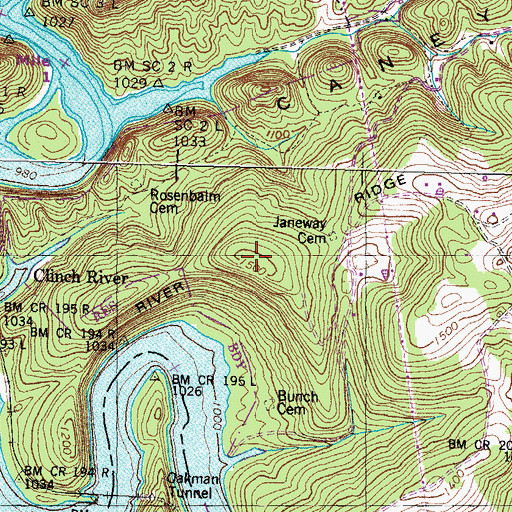 Topographic Map of Janeway Cemetery, TN