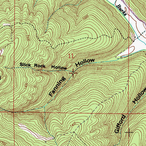 Topographic Map of Slick Rock Hollow, AL