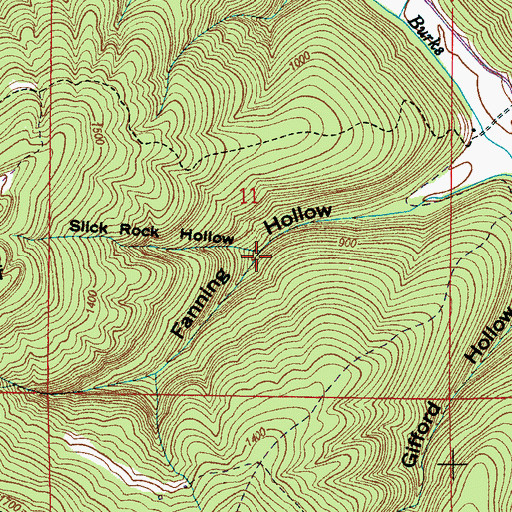 Topographic Map of Slick Rock Hollow, AL