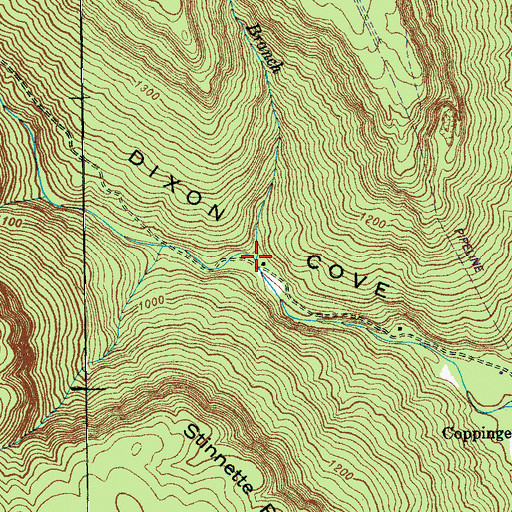 Topographic Map of Lick Branch, TN