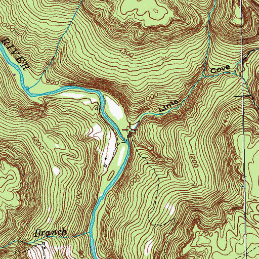 Topographic Map of Lints Cove, TN