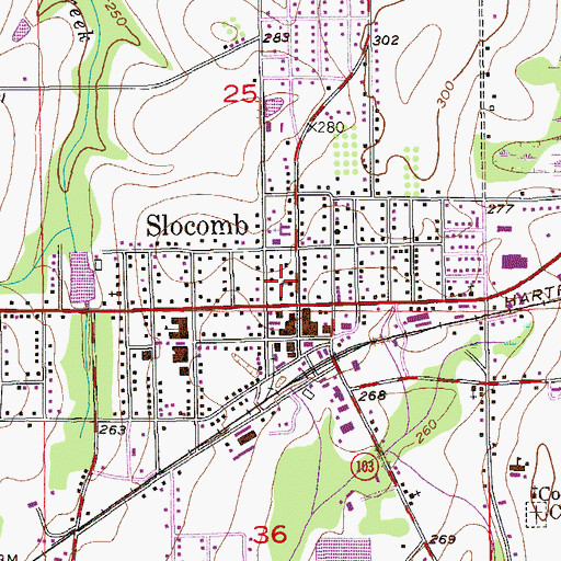 Topographic Map of Slocomb, AL