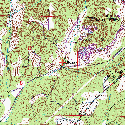 Topographic Map of Sloss, AL