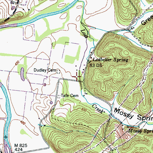 Topographic Map of Mossy Spring Hollow, TN