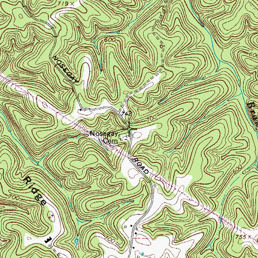Topographic Map of Nosegay Cemetery, TN