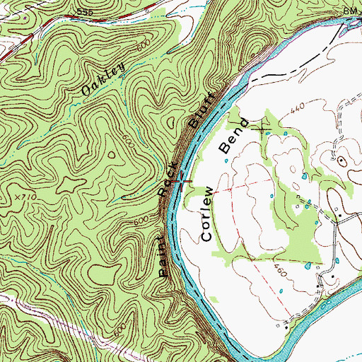 Topographic Map of Paint Rock Bluff, TN