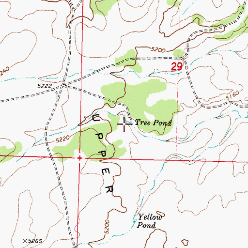 Topographic Map of Tree Pond, AZ