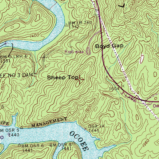 Topographic Map of Sheep Top, TN
