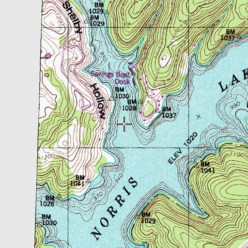 Topographic Map of Shelby Hollow, TN