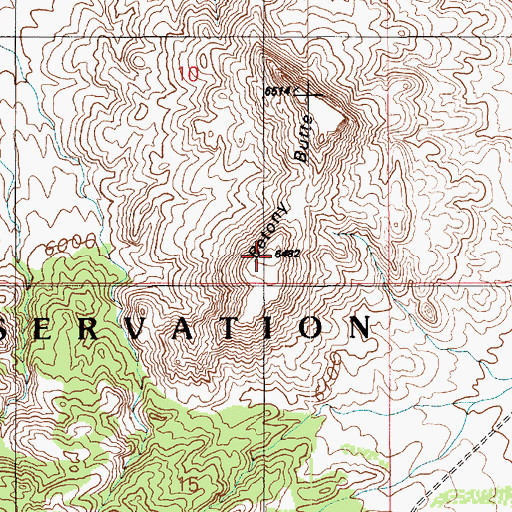 Topographic Map of Betony Butte, AZ