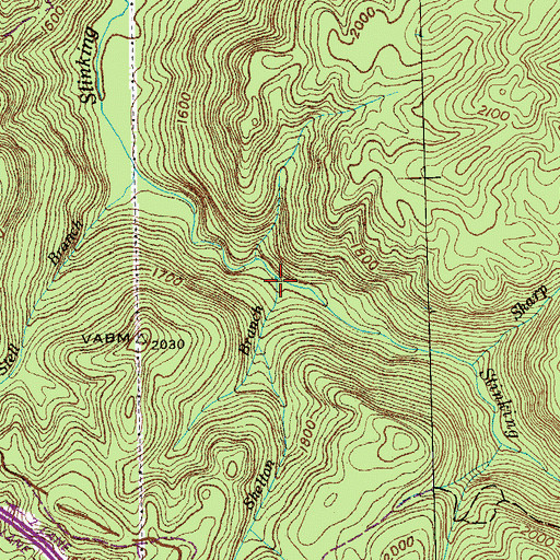 Topographic Map of Shelton Branch, TN