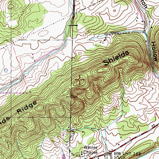 Topographic Map of Shields Ridge, TN