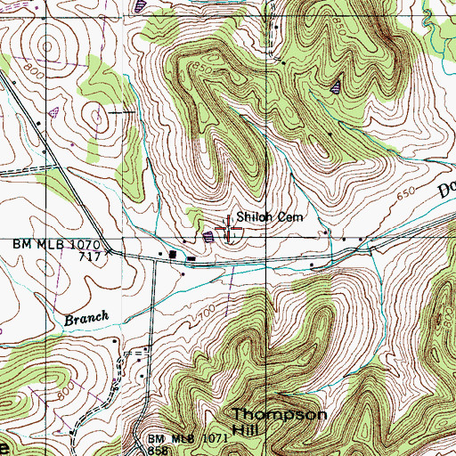 Topographic Map of Shiloh Cemetery, TN