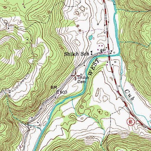 Topographic Map of Shiloh Cemetery, TN