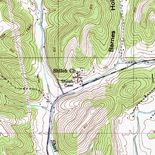 Topographic Map of Shiloh Cemetery, TN