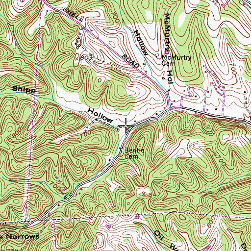 Topographic Map of Shipp Hollow, TN