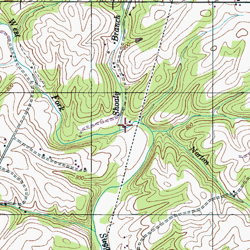 Topographic Map of Shoaly Branch, TN