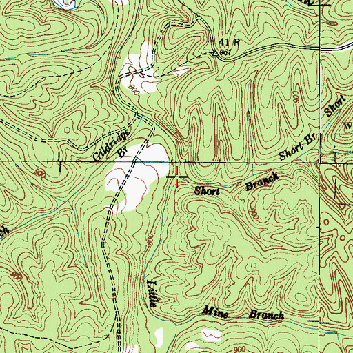 Topographic Map of Short Branch, TN