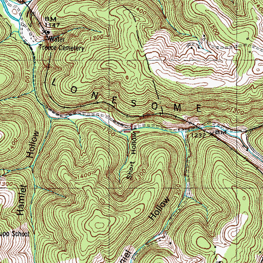 Topographic Map of Short Hollow, TN