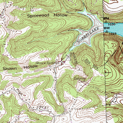 Topographic Map of Shown Springs, TN