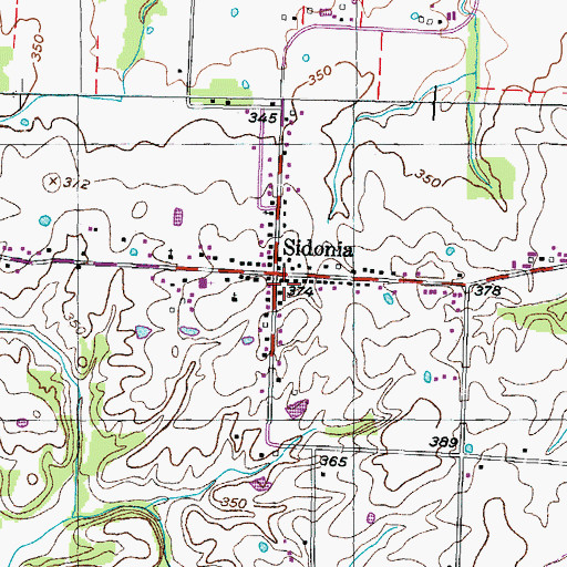 Topographic Map of Sidonia, TN