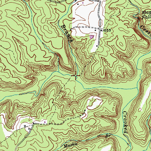 Topographic Map of Sifter Hill Branch, TN