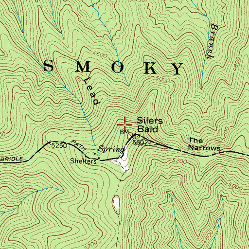 Topographic Map of Silers Lead, TN