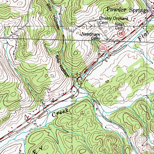 Topographic Map of Silo Hollow, TN