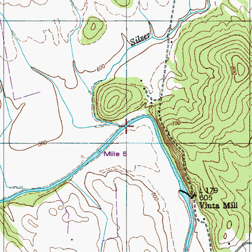 Topographic Map of Silver Creek, TN