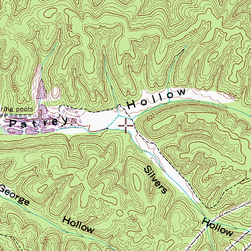 Topographic Map of Silvers Hollow, TN