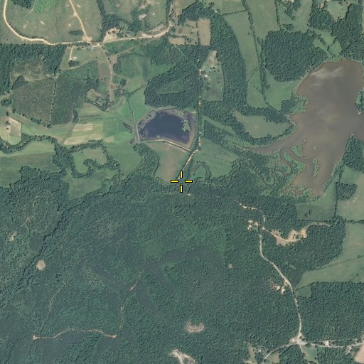 Aerial/Satellite Image of Simms Bridge, TN