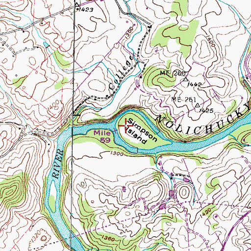 Topographic Map of Simpson Island, TN