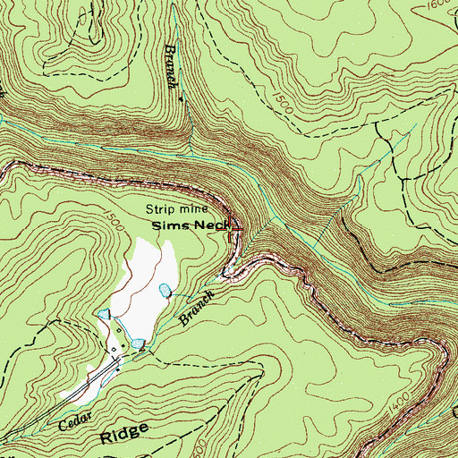 Topographic Map of Sims Neck, TN