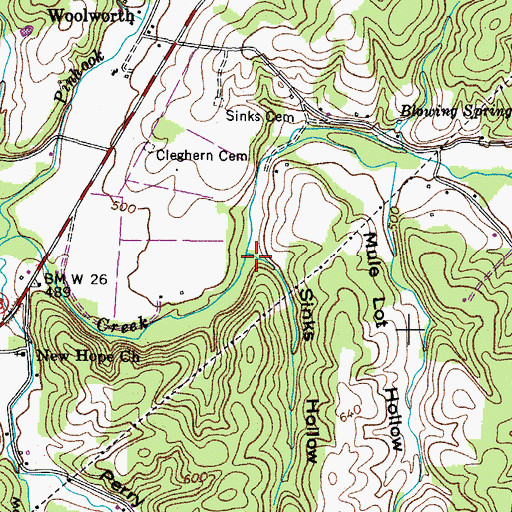 Topographic Map of Sinks Hollow, TN