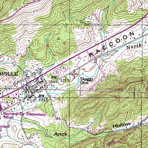 Topographic Map of Skaggs Cemetery, TN