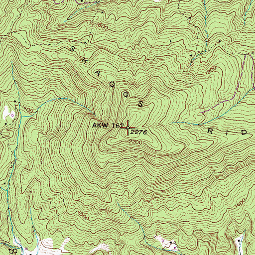 Topographic Map of Skaggs Ridge, TN