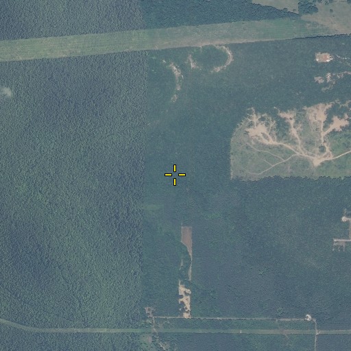 Aerial/Satellite Image of Smithers Spring, AL