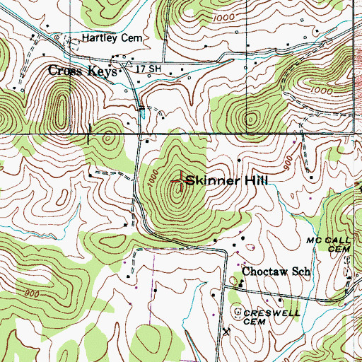 Topographic Map of Skinner Hill, TN