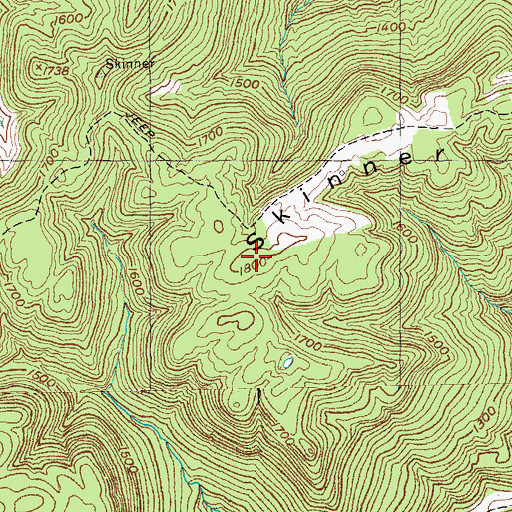 Topographic Map of Skinner Mountain, TN