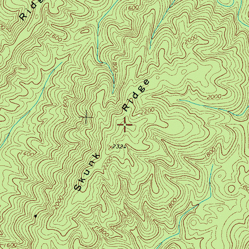 Topographic Map of Skunk Ridge, TN