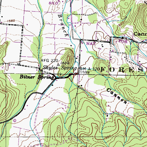 Topographic Map of Skyles Spring, TN